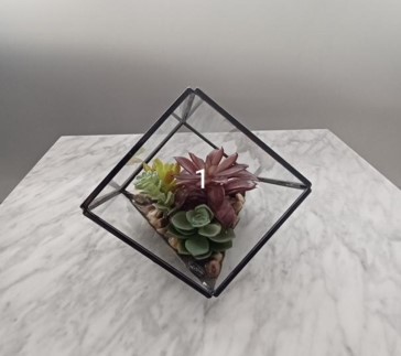 Terrarium