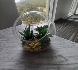 [#00-180] Terrarium